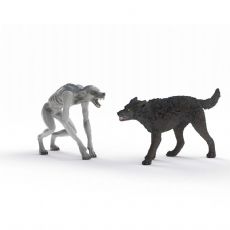 Varulv vs Animagus